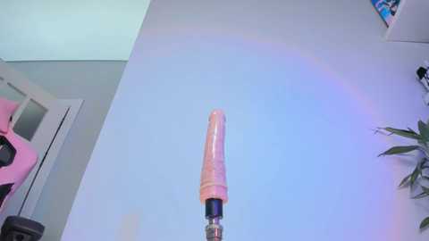 maakimo @ bongacams on 20250615