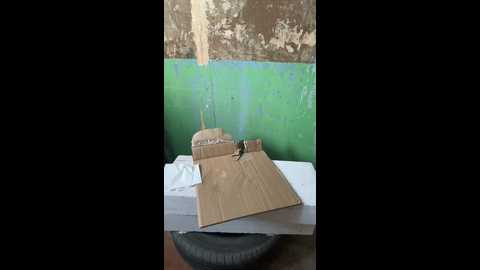 daddysgirl9 @ bongacams on 20250616