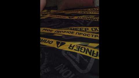 plohishi2 @ bongacams on 20250616