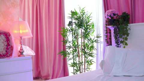 artteasee @ bongacams on 20250617