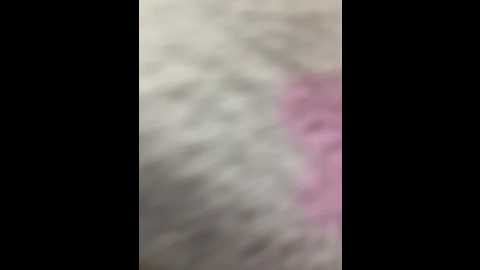 arcgroza @ bongacams on 20250618