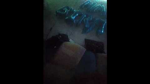 elena380 @ bongacams on 20250618