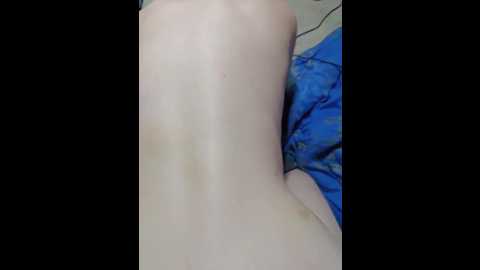 mira141201 @ bongacams on 20250619