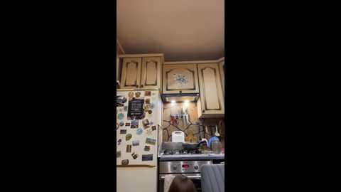 _breid_1 @ bongacams on 20250620