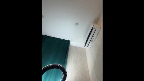 ellidi @ bongacams on 20250622