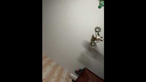 emosexxx @ bongacams on 20250622