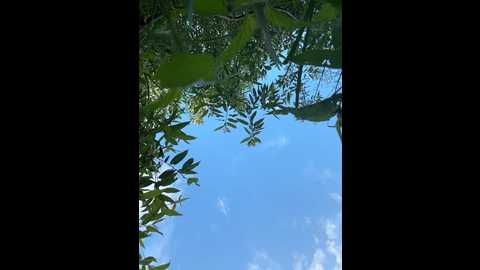 luckystar @ bongacams on 20250622