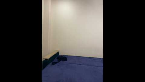 mary_assss @ bongacams on 20250622