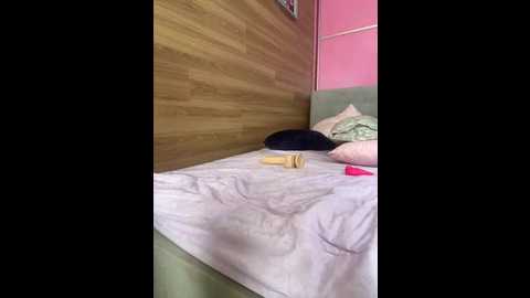 alisamaks @ bongacams on 20250624