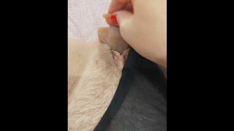 viamm @ bongacams on 20250624