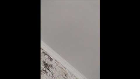 mishania38 @ bongacams on 20250625