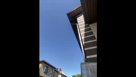 anoramelody @ bongacams on 20250627