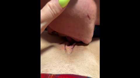 artemly13 @ bongacams on 20250627