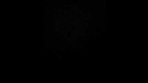 chanel77777 @ bongacams on 20250627