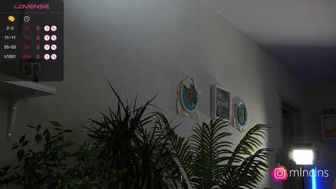 mel_collins @ bongacams on 20250627