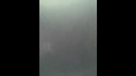 sallyeleins @ bongacams on 20250628