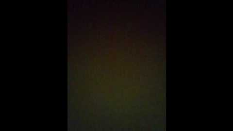 akademik991 @ bongacams on 20250629