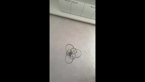 nezukoo @ bongacams on 20250630