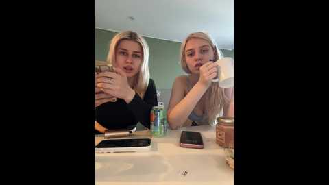 vibromashulkadashulka @ bongacams on 20250630