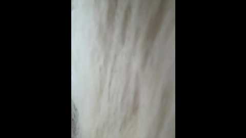 x_nastya_x @ bongacams on 20250630