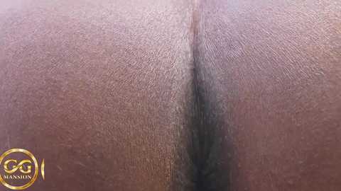 ggmansion @ bongacams on 20250703