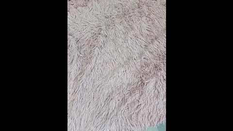 rosfair @ bongacams on 20250703