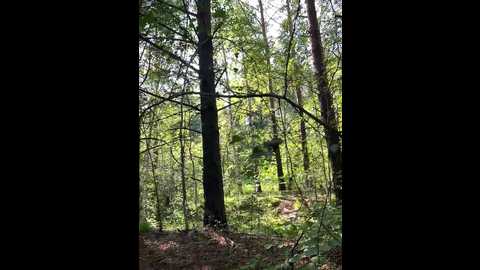 pararam @ bongacams on 20250704