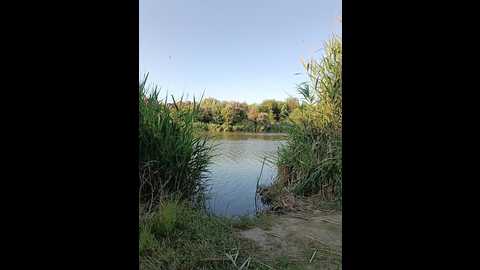 rosfair @ bongacams on 20250707