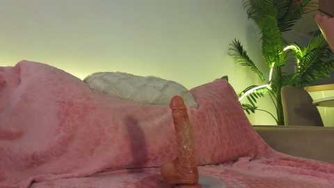 lili_roze @ bongacams on 20250708