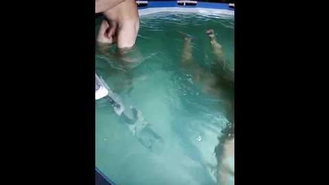 rosfair @ bongacams on 20250708