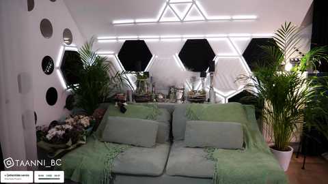 taanni @ bongacams on 20250710