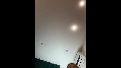 ellidi @ bongacams on 20250711