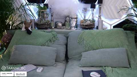 taanni @ bongacams on 20250711