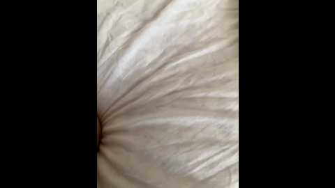 girl_and_boy007 @ bongacams on 20250712