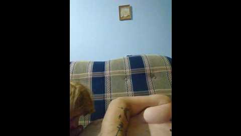 vitaly84 @ bongacams on 20250713