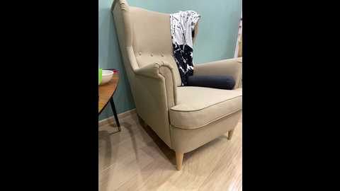 yugovi @ bongacams on 20250714