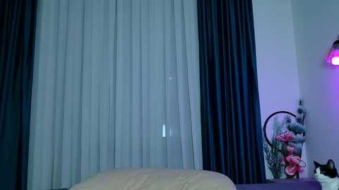 brenda_m00n @ bongacams on 20250715