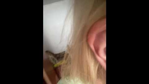 xyligana @ bongacams on 20250715