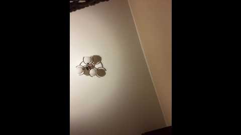 pussydollnet @ bongacams on 20250716