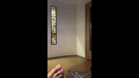 vertigo1907 @ bongacams on 20250716