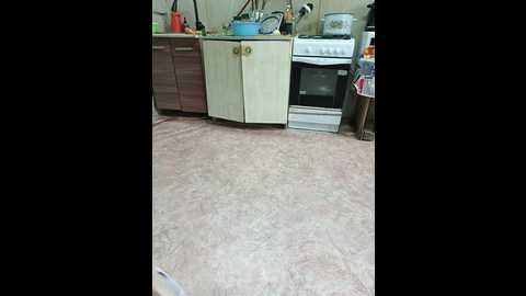 rosfair @ bongacams on 20250717