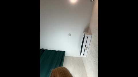 ellidi @ bongacams on 20250718