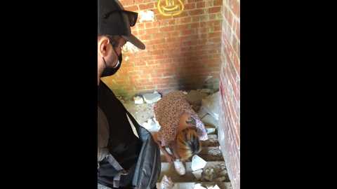 96wednesday96 @ bongacams on 20250719