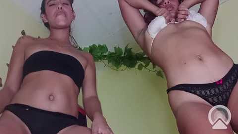 majo_ht