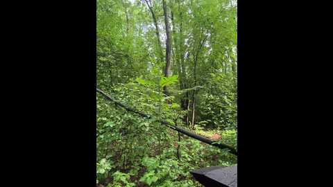 babydarii @ bongacams on 20250720