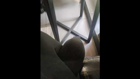 sodom_and_gomorrah @ bongacams on 20250720