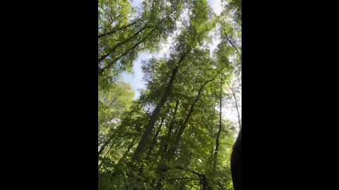 babydarii @ bongacams on 20250724