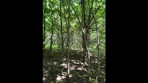 daddysgirl9 @ bongacams on 20250725