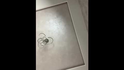 nezukoo @ bongacams on 20250725