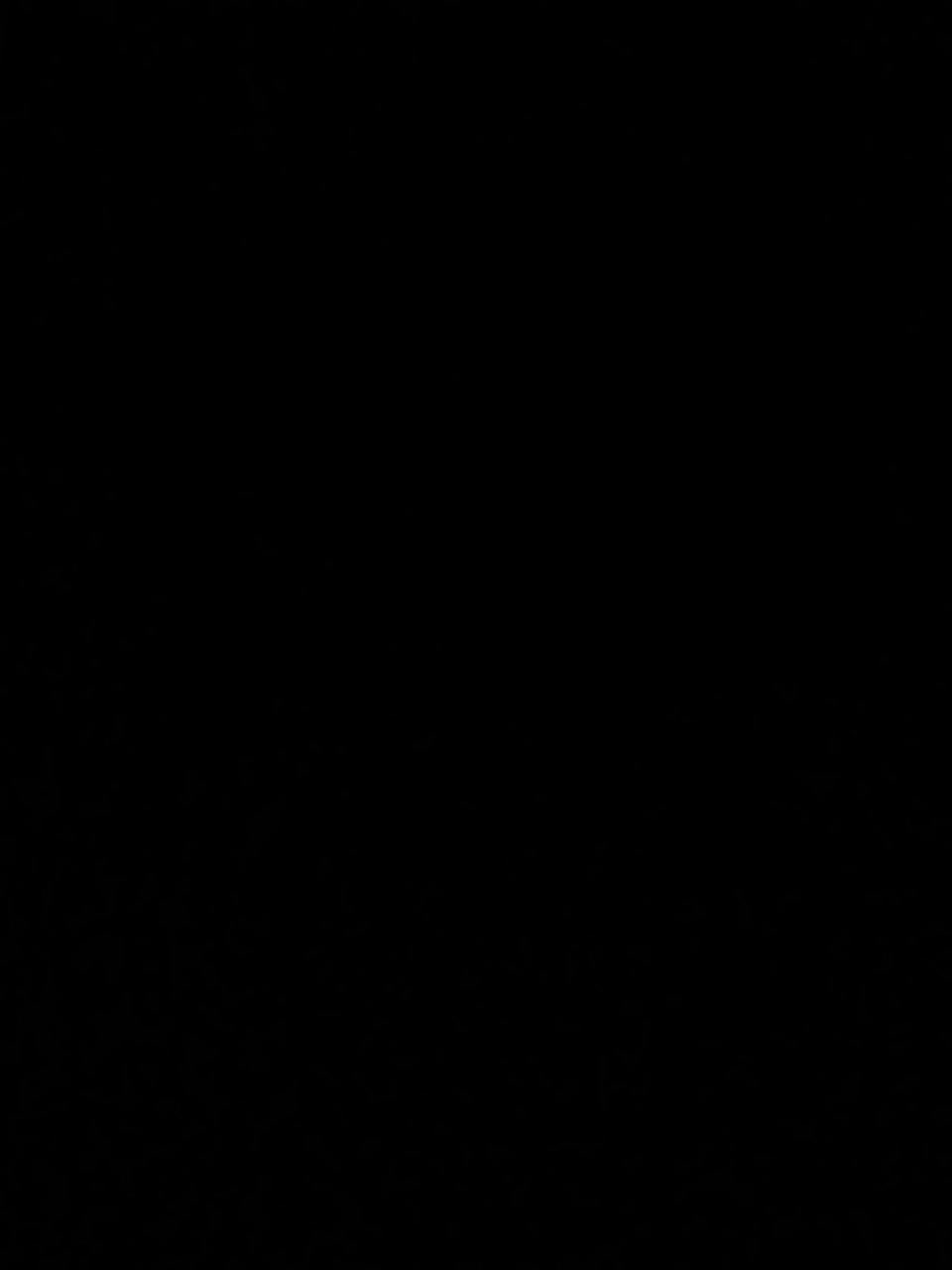 andre4516 @ bongacams on 20250727